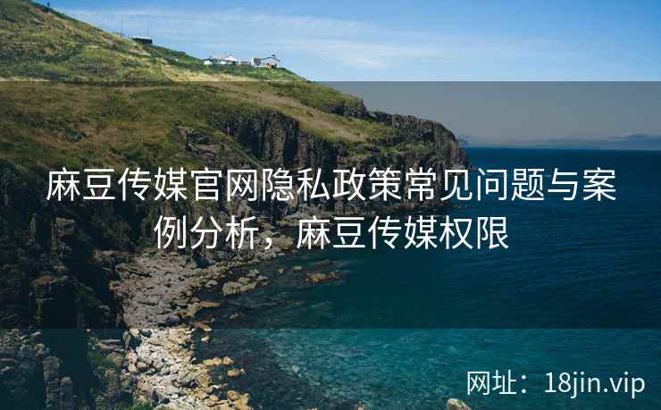 麻豆传媒官网隐私政策常见问题与案例分析，麻豆传媒权限