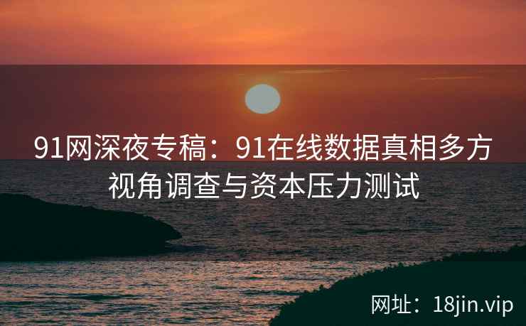91网深夜专稿：91在线数据真相多方视角调查与资本压力测试