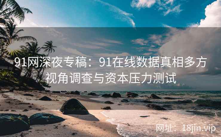 91网深夜专稿：91在线数据真相多方视角调查与资本压力测试