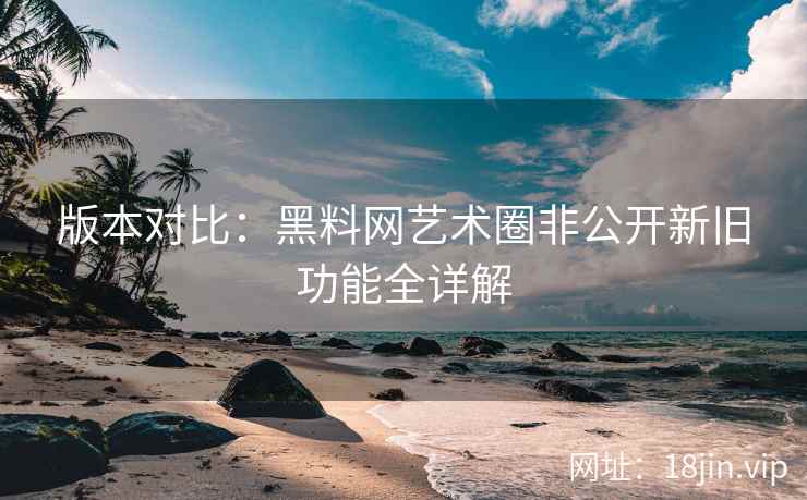 版本对比：黑料网艺术圈非公开新旧功能全详解  第2张